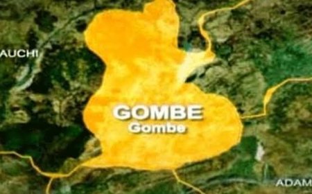 Gombe is now Nigeria’s poverty capital- UNICEF