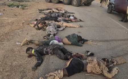 ISWAP commander, 24 others killed as troops repel Kukareta attack in Borno
