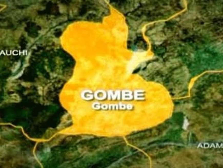 Gombe is now Nigeria’s poverty capital- UNICEF