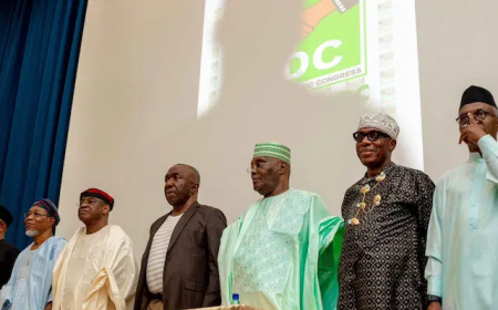 Court Upholds Mark-Led ADC Leadership