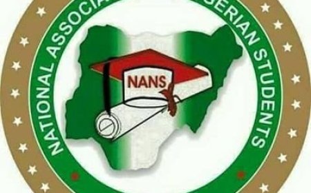 Xenophobic attack: NANS gives South African business interests 4 days to leave Nigeria