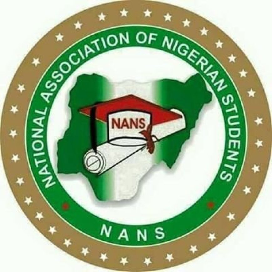 Xenophobic attack: NANS gives South African business interests 4 days to leave Nigeria