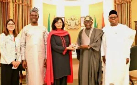 Gavi commits $500m to Nigeria’s immunisation programme